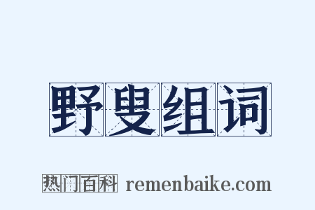 野叟组词是什么意思的图片